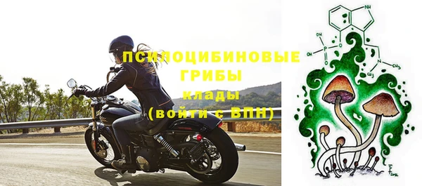 круглые Алзамай