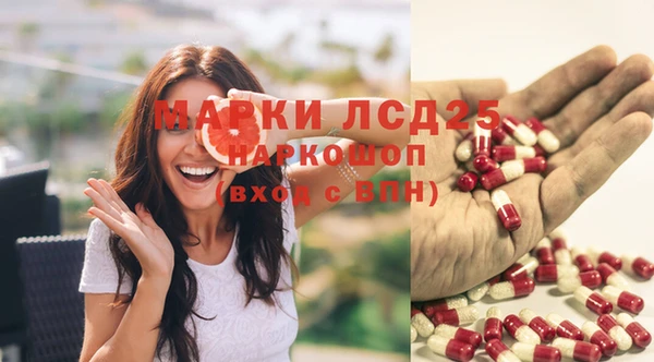 круглые Алзамай